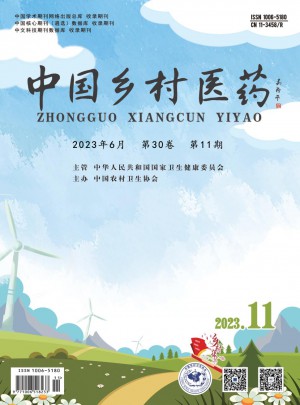 中國鄉村醫藥雜志訂閱